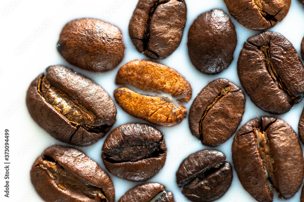 Obraz premium Roasted coffee beans on white milk background. Coffee beans in milk. Top view macro shot of arabica, robusta and iberica coffee seeds. 