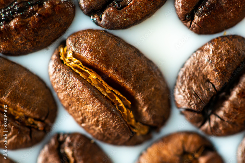 Obraz premium Roasted coffee beans on white milk background. Coffee beans in milk. Top view macro shot of arabica, robusta and iberica coffee seeds. 