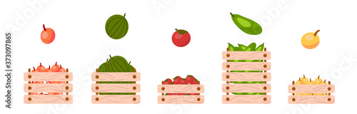 Local organic production for farm shop. Vegetable and fruit market shop stand with boxes of apple, watermelon, tomato, zucchini. Fresh food outdoor place. Flat cartoon stock vector illustration.