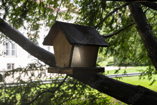  the birdhouse © Sergio Delle Vedove