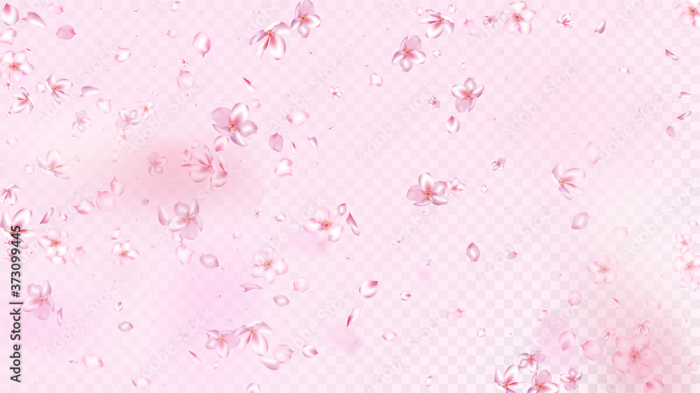 Nice Sakura Blossom Isolated Vector. Spring Blowing 3d Petals Wedding Design. Japanese Bokeh Flowers Illustration. Valentine, Mother's Day Pastel Nice Sakura Blossom Isolated on Rose