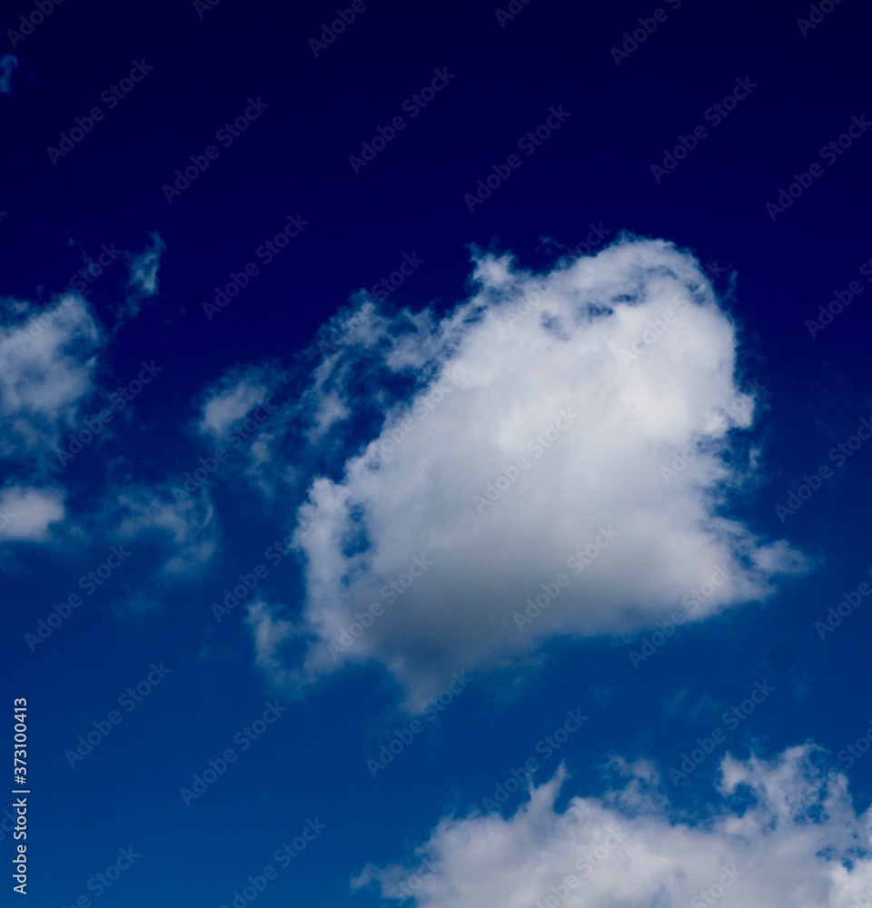 The fluffy white cloud in the bright blue sky.
