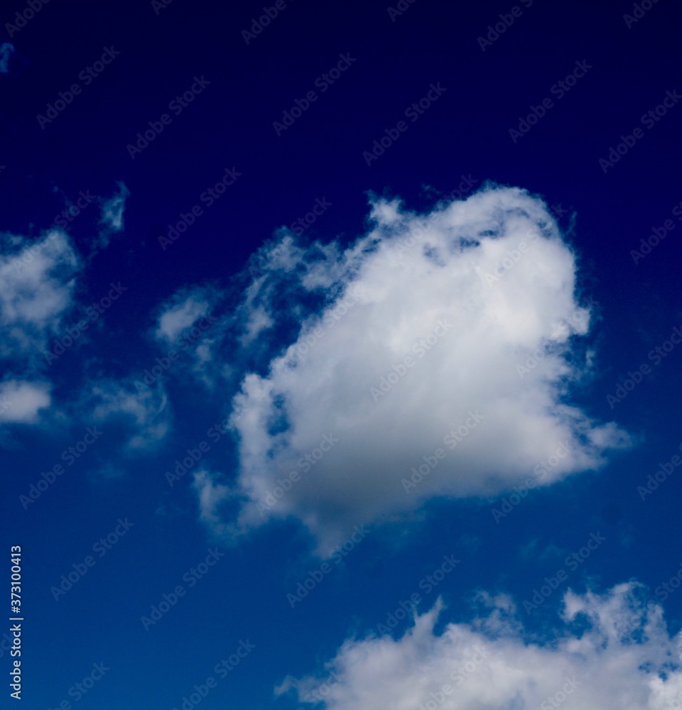 The fluffy white cloud in the bright blue sky. The fluffy white cloud in the bright blue sky.