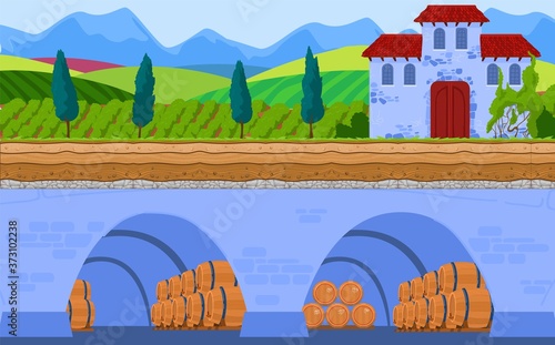 Wine storage vector illustration. Cartoon flat winery production infographic background of wooden barrels with alcohol grapevine stored in underground storage under vineyard landscape, cellar scheme