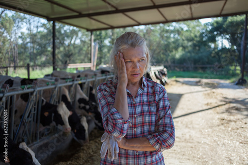 Sad tired woman on a rural farm with cows.