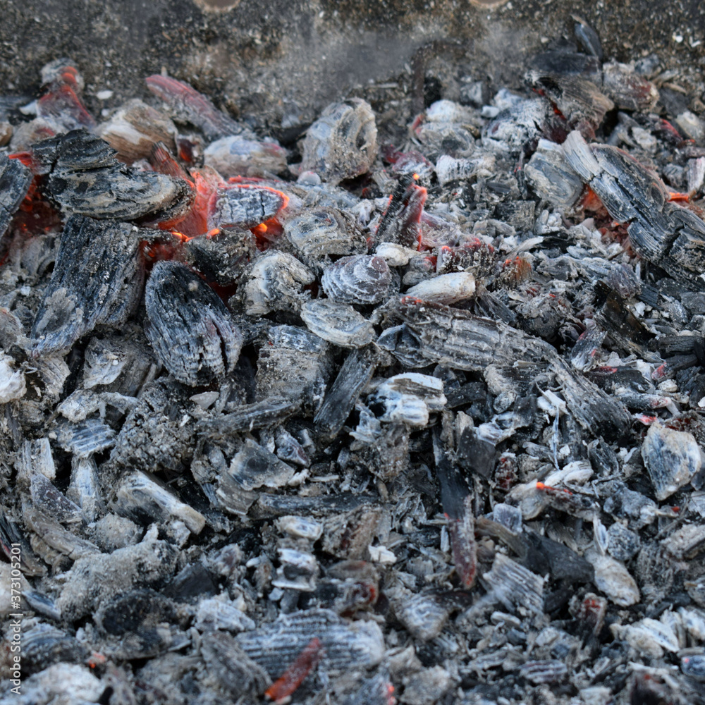 embers from the fire. Coals for the BBQ. Abstract background. embers from the fire. Coals for the BBQ. Abstract background.