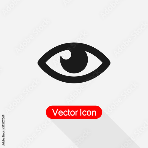 Eye Scanning Icon Eye Icon vector illustration eps 10