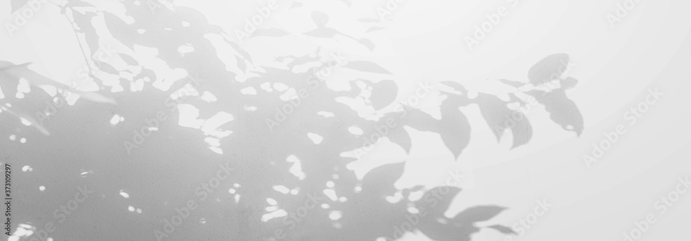 Abstract Shadows, blurred background of gray leaves and natural trees that reflect concrete walls, fallen branches on white wall surfaces for blurred backgrounds and black and white wallpapers. Abstract Shadows, blurred background of gray leaves and natural trees that reflect concrete walls, fallen branches on white wall surfaces for blurred backgrounds and black and white wallpapers.