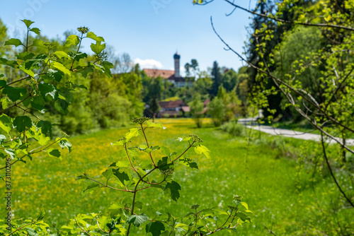 Blick über die Blumenwiese auf das Kloster Beuerberg photo