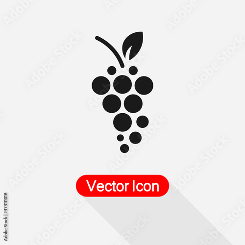Grape Icon, Fruit Symbol Icon Vector Illustration Eps10