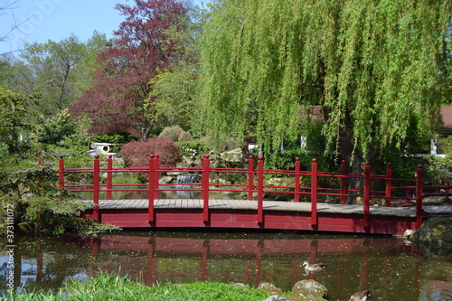 paysage du zoo de rotterdam
