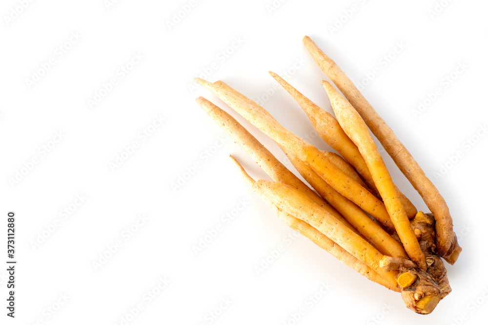 Fingerroot ( Chinese Ginger, Galingale, Kaempfer, Boesenbergia rotunda, Krachai ) isolated on white background. Natural herbal plant concept. Top view. Flat lay. 