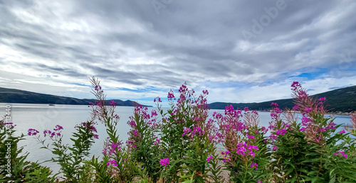 the shore of the Bay Nagaeva photo