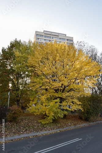 Kepa Potocka park in Warsaw photo