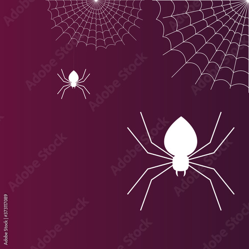 Halloween spiders and spiderwebs vector design