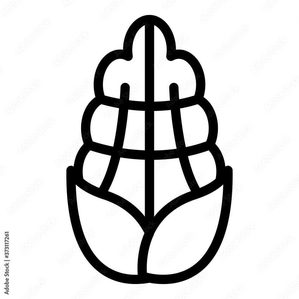 Eco corn icon. Outline eco corn vector icon for web design isolated on white background Eco corn icon. Outline eco corn vector icon for web design isolated on white background