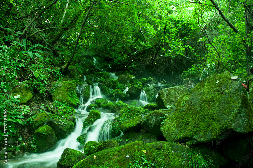 Mossy valley,Beautiful mountain stream with moss covered stone. Mossy valley,Beautiful mountain stream with moss covered stone.