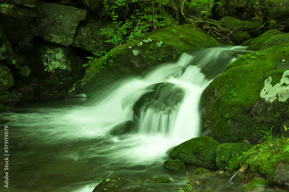 Mossy valley,Beautiful mountain stream with moss covered stone. Mossy valley,Beautiful mountain stream with moss covered stone.