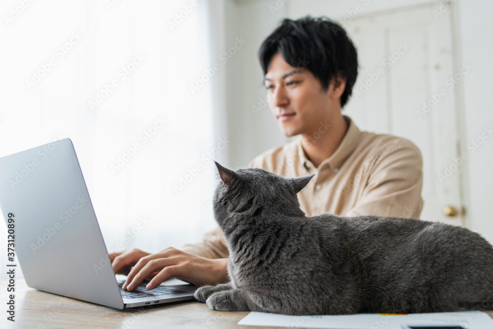 One man working remotely and a cat. One man working remotely and a cat.