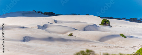Lancelin is Australia's premier sandboarding destination. Pure white sand rises three storeys high and entry to the dunes is free and open photo