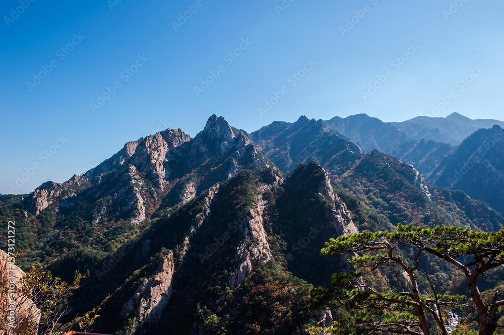 Fototapeta premium The landscape of autumn mountain background blue sky.