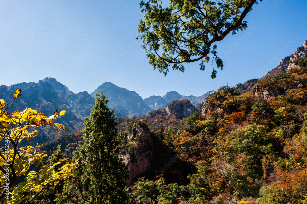 The landscape of autumn mountain background blue sky. The landscape of autumn mountain background blue sky.