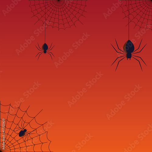 Halloween spiders and spiderwebs vector design