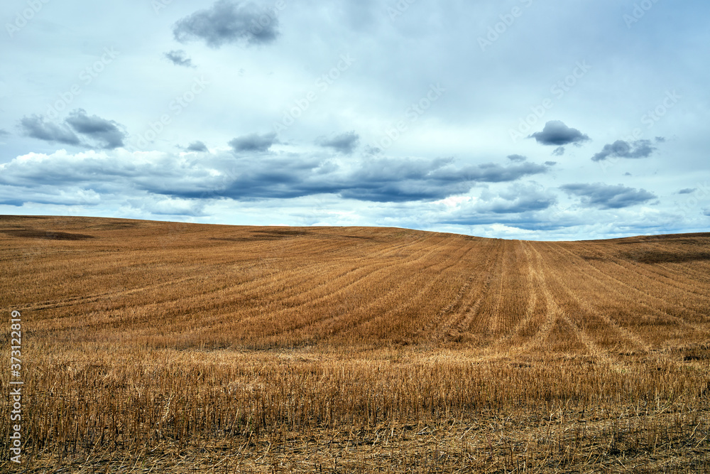 rural landscape with arable fields after the harvest