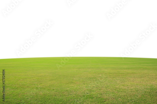 green grass and white background.