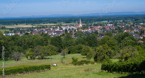 View from Fremersberg to the town of Sinzheim with the Rhine valley near Baden Baden. Baden Wuerttemberg, Germany