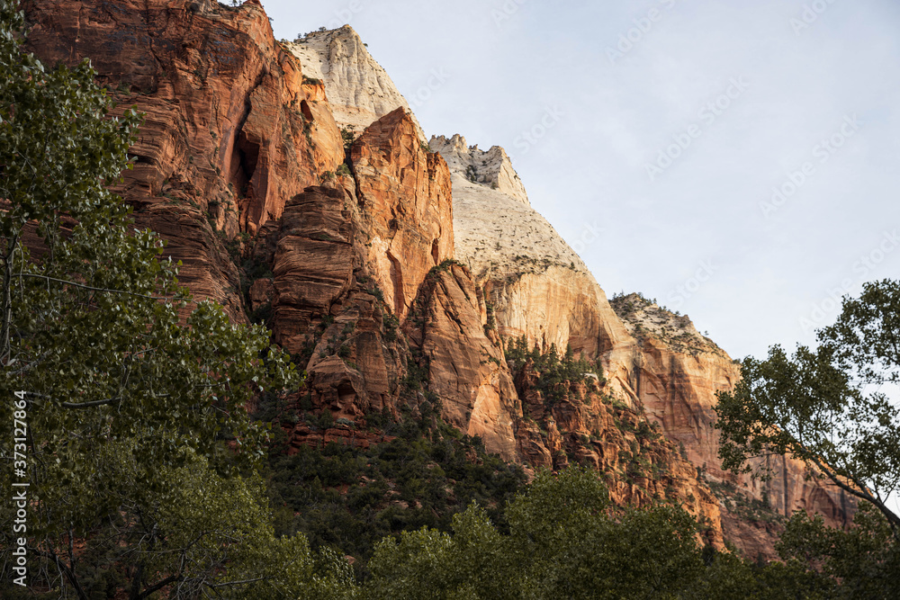 Canyons of Zion National Park