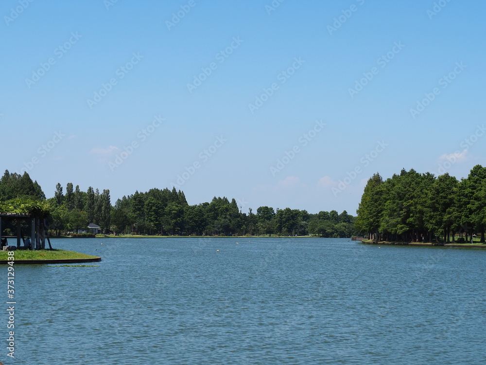 青空と池のある風景 青空と池のある風景
