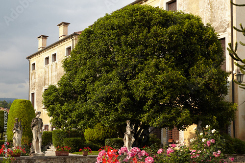 Villa Godi Malinverni italian garden, Lugo photo