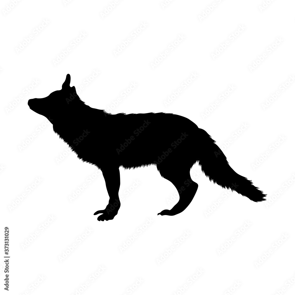 Fox (Vulpes vulpes) Silhouette Found In Map Of Europe