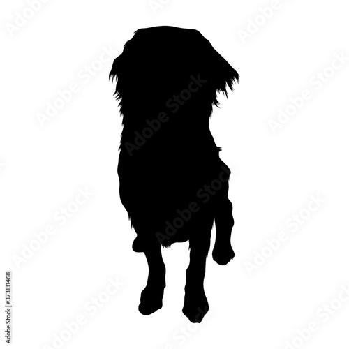 Flat Coat Retriever Dog Silhouette Found In Map Of Europe