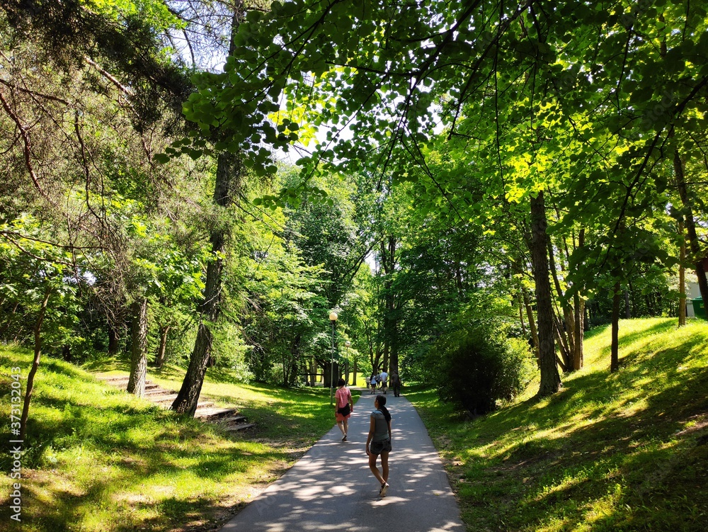 Obraz premium walk in the park