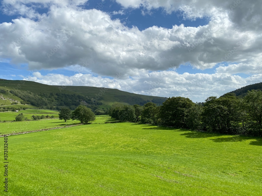 Landscape view, of fields and meadowland, with old trees and hills, on the horizon near, Buckden, Skipton, UK