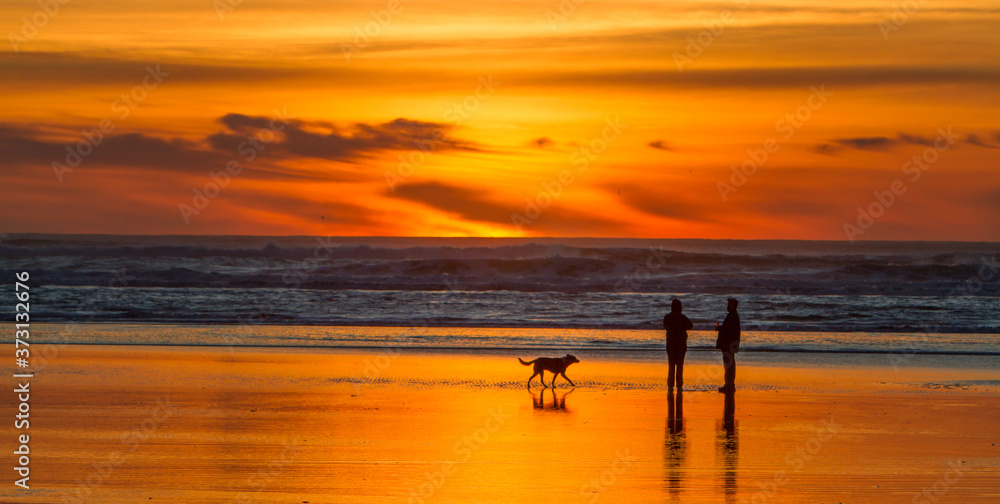 A couple walking their do at sunset on the beach at seaside, Oregon.