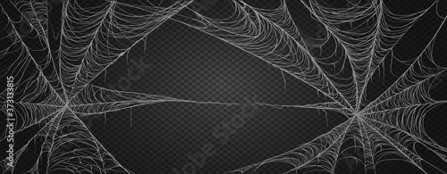 Spiderweb for halloween, spooky, scary, horror decor. Cobweb realism set. Isolated on black transparent background. Vector 