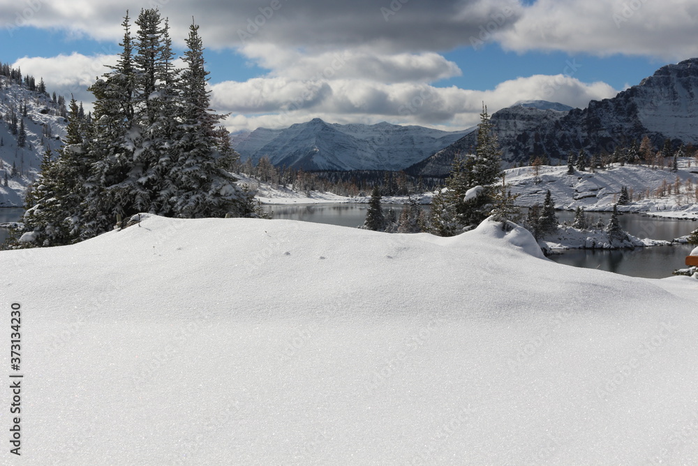 Sunshine Meadows in winter - Banff - Canada