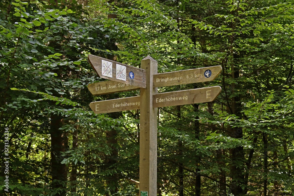 Wegweiser im Nationalpark Kellerwald am Edersee Wegweiser im Nationalpark Kellerwald am Edersee