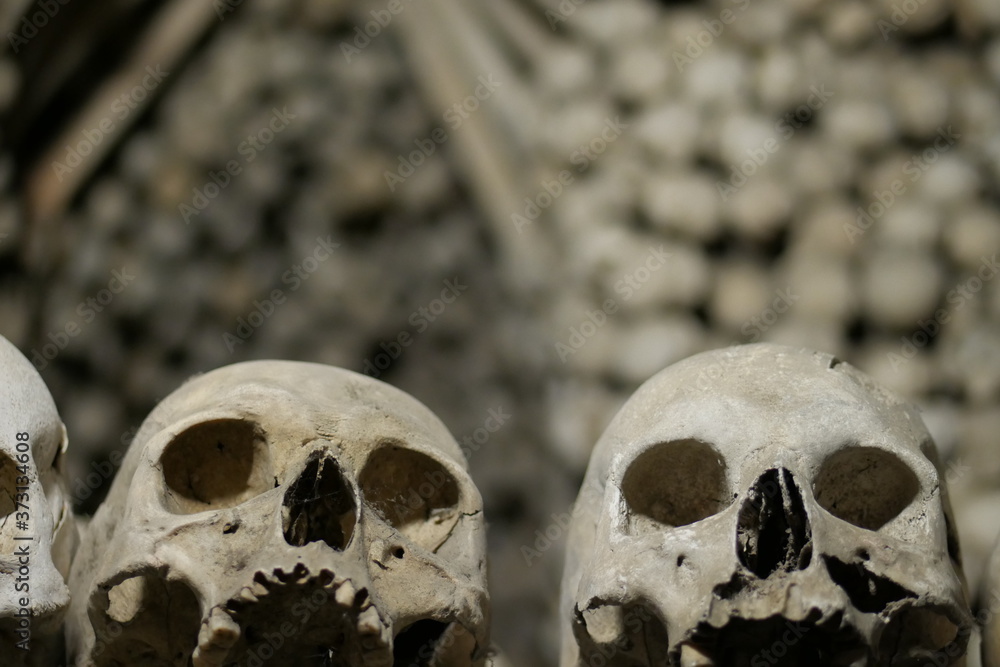 Totenköpfe im Beinhaus von Sedletz Totenköpfe im Beinhaus von Sedletz