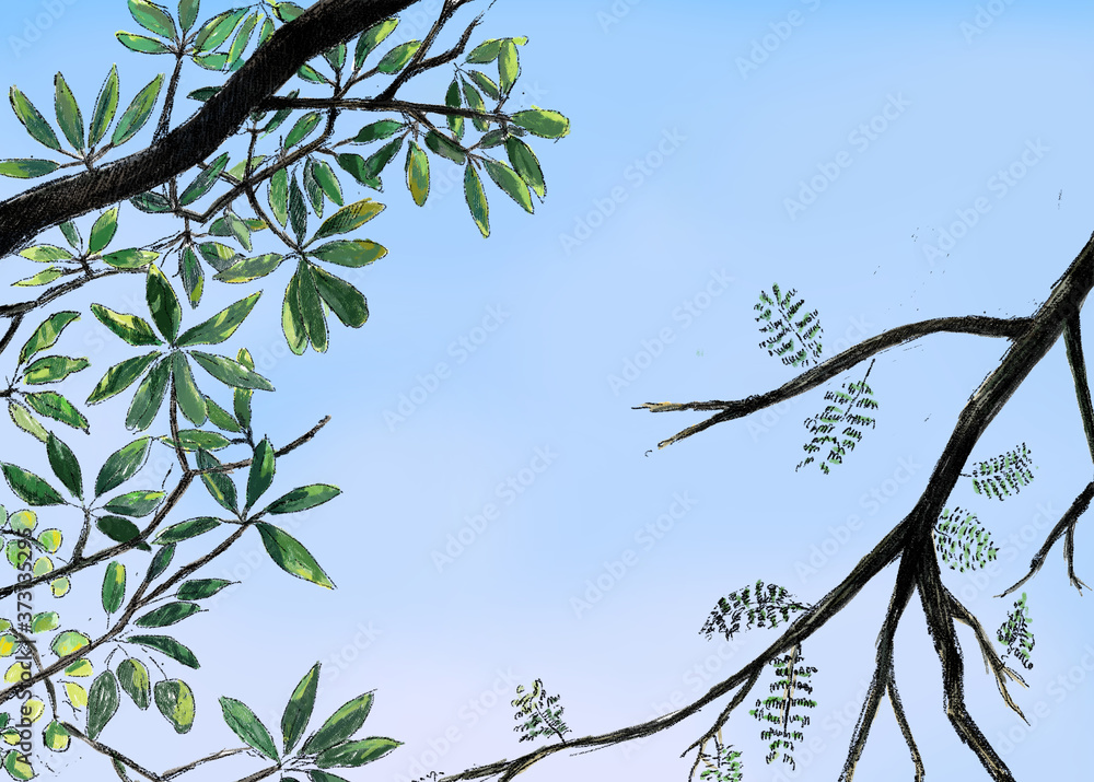 Fototapeta premium Nature view with tree branch leaf and sky background.Natural green leaf and branch art background