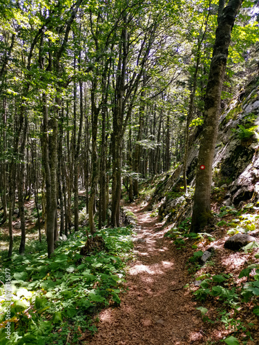 Premuziceva Trail is a 57 km long hiking trail that leads along the Velebit across the craggy ground of the north and central Velebit mountain. Trails takes you to the wildest parts of the mountain.