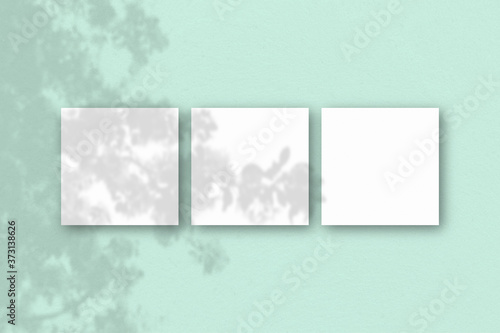 3 square sheets of white textured paper on the light green wall background. Mockup overlay with the plant shadows. Natural light casts shadows from an exotic plant.. Flat lay, top view