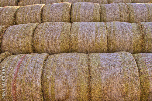 Detail of stacked round bales of straw, Czech Republic.