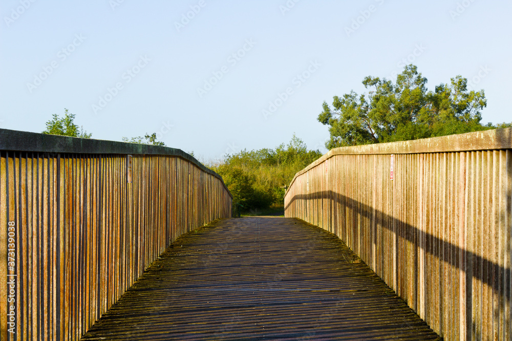 path over a wooden bridge 