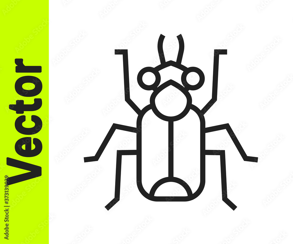 Black line Beetle bug icon isolated on white background. Vector.