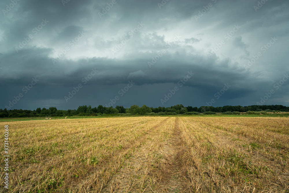 Dark storm cloud over the stubble field