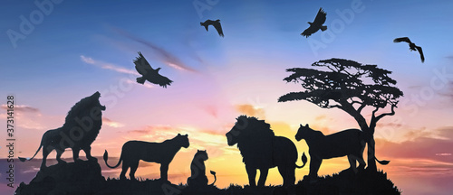  Generic Stock vector of a Pride of Lions on the African Savannah with a composite sunset background.  This can be used as wallart or a mural, there are no identifiable logo's present.